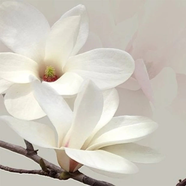 Custom 3D Photo Wallpaper Scenery For Walls 3D Magnolia Pattern Mural 