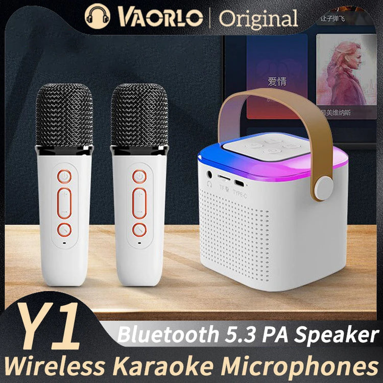 Portable Wireless Dual Microphone Karaoke Machine Bluetooth PA Speaker KTV DSP System HIFI Stereo Sound RGB Colorful LED Lights - mariaestalocashop