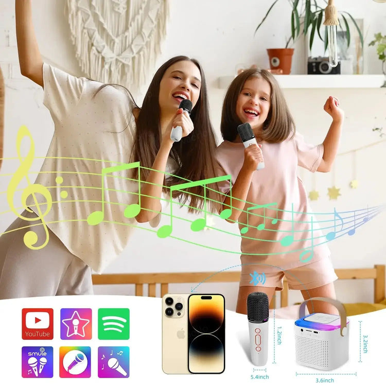 Portable Wireless Dual Microphone Karaoke Machine Bluetooth PA Speaker KTV DSP System HIFI Stereo Sound RGB Colorful LED Lights - mariaestalocashop