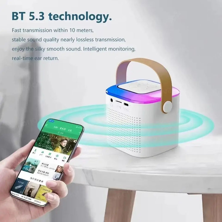 Portable Wireless Dual Microphone Karaoke Machine Bluetooth PA Speaker KTV DSP System HIFI Stereo Sound RGB Colorful LED Lights - mariaestalocashop
